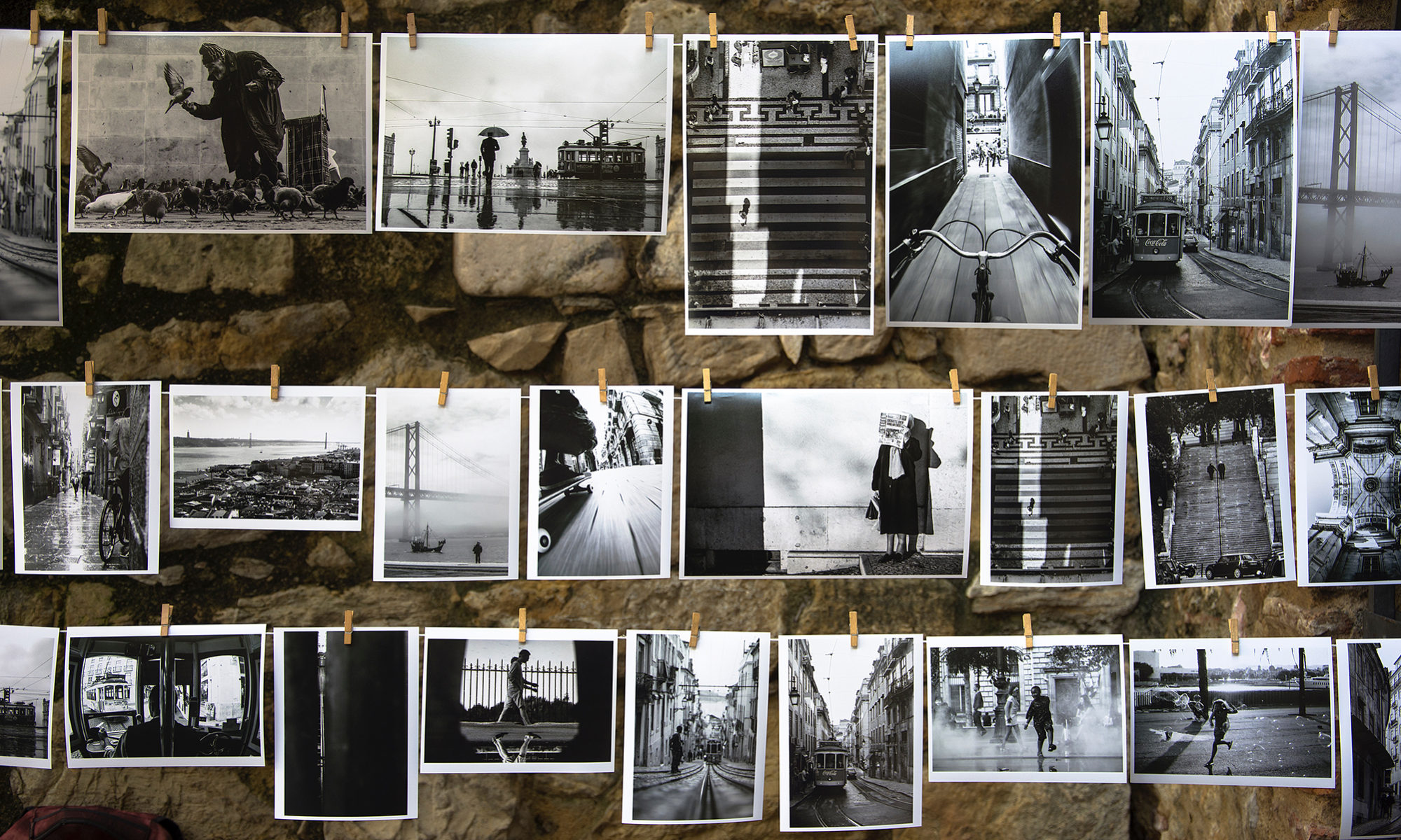 Photo by Brigitta Schneiter on Unsplash